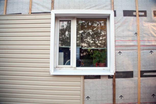 Best Custom Trim and Detailing for Siding  in Timberville, VA
