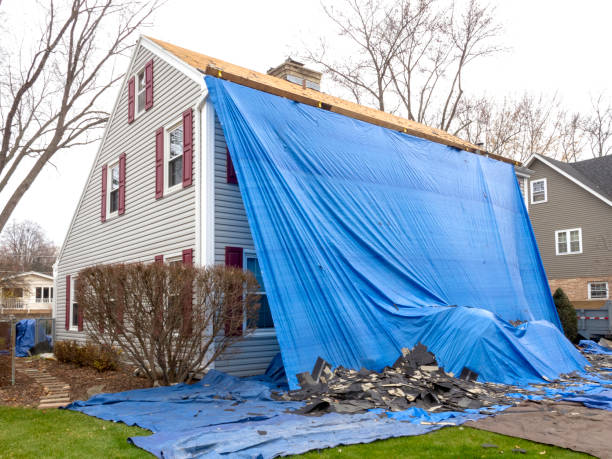 Best Engineered Wood Siding  in Timberville, VA