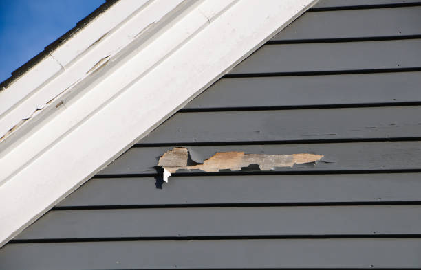 Best Residential Vinyl Siding Installation  in Timberville, VA