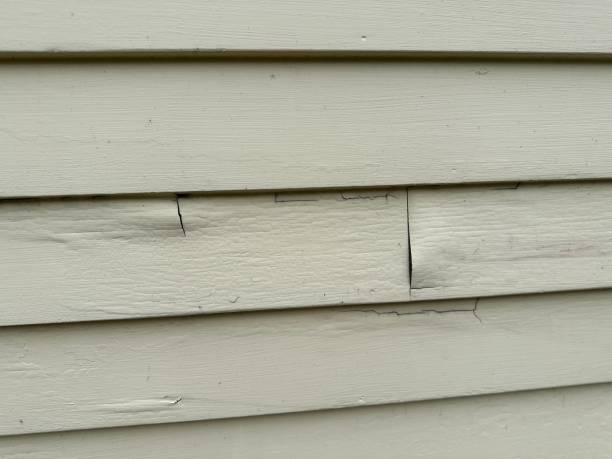 Historical Building Siding Restoration in Timberville, VA